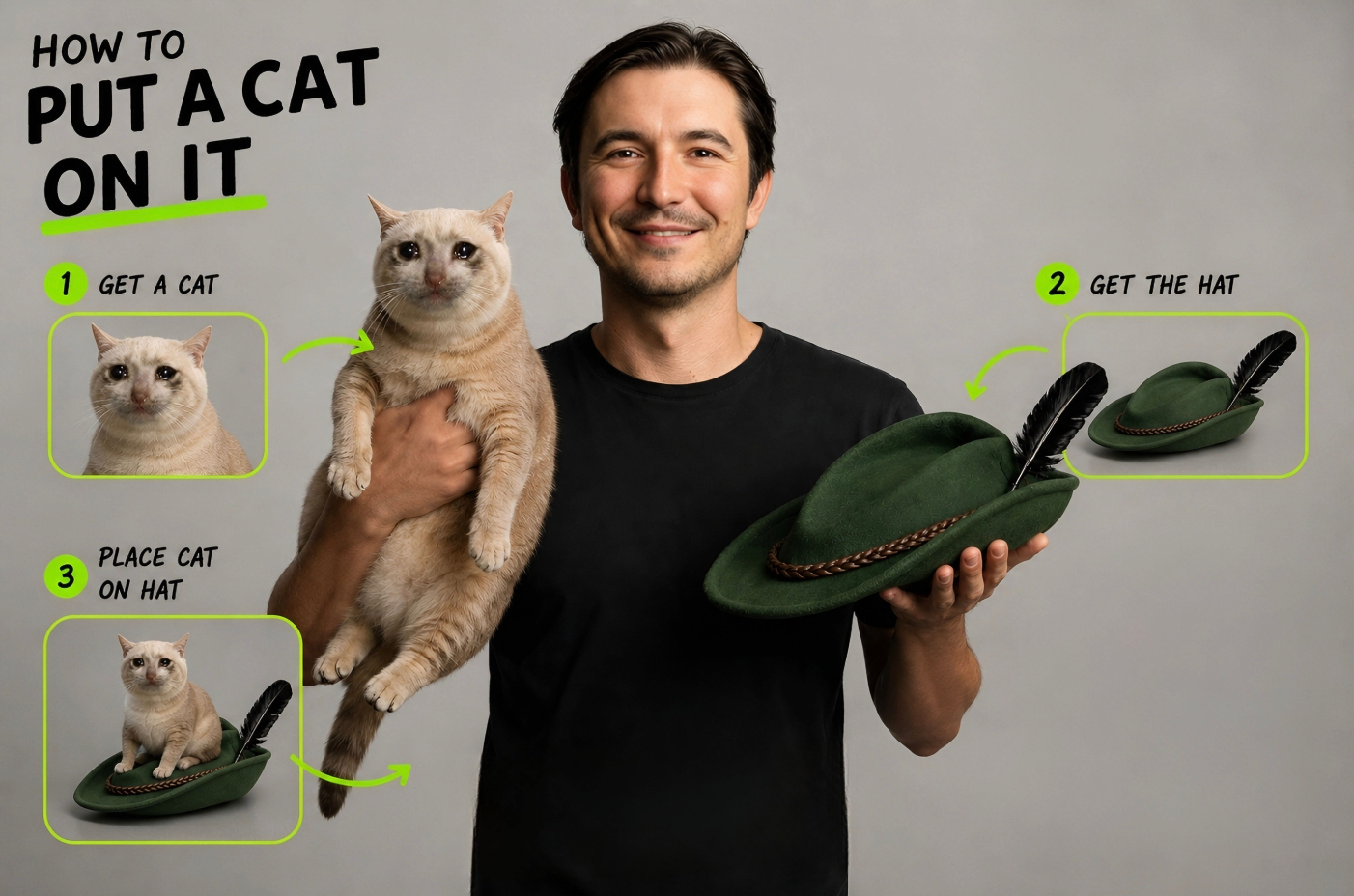 How to put a cat on it. One: get a cat. Two: get the hat. Three: place cat on hat.